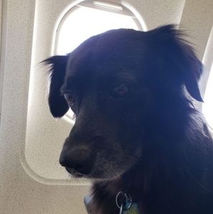 Meet your Posher, Frasca